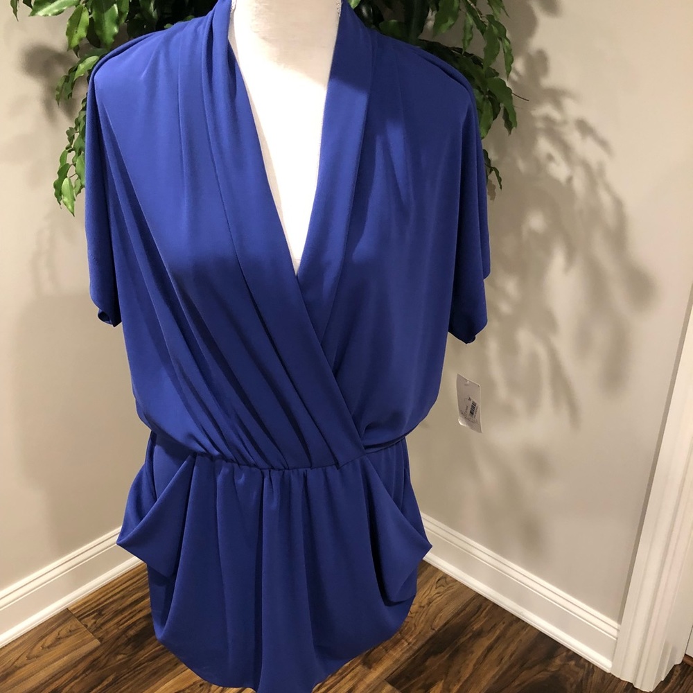 NWT Rachel Roy Short Dolman Sleeve Blue Dress